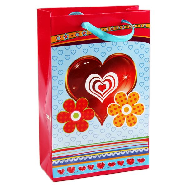 Alnoor Noor Gift Bag - Various Sizes and Designs