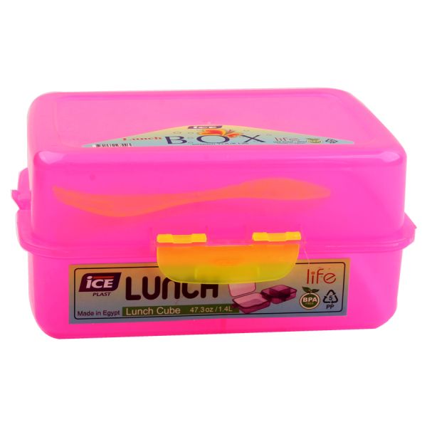 Ice Plast Lunch Box with Fork - Plastic Master