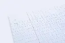 Mintra Seyes Single / Double Perforated Filler Paper A4 (French Ruling) - Pack of 100 Sheets