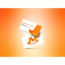 Business Cards (Box of 100) B