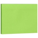 Apple Sticky Notes, 100 Sheets, 76x101 mm - Green