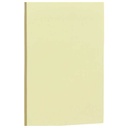 Apple Sticky Notes, 100 Sheets, 101x152 mm - Yellow