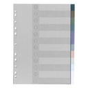 Apple H562 Tab Dividers - A4 Size - Multi Color