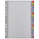 Apple Numbers Plastic Dividers - 31 Dividers