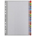 Apple Numbers Plastic Dividers - 31 Dividers