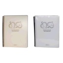 Mintra B5 Golden & Silver Notebook - 100 Sheets