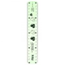 Flexible Ruler - Transparent Colors - 20 cm